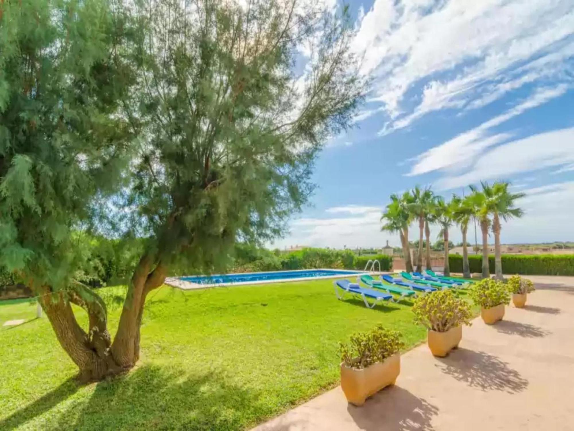 Villa Torre Marina Alga Marina - With Pool *